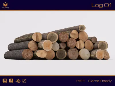 Log 01 3D model