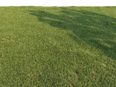  Lawn + Grasses Pack (+GrowFX) 
