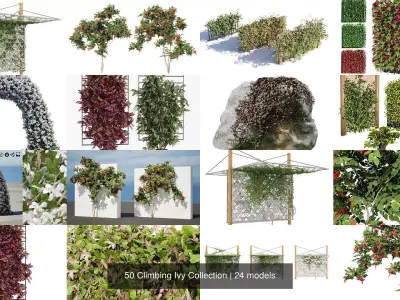 50 Climbing Ivy Collection 3D Model Pack