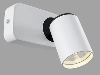 Spot Alliot SP317-CW-01-W Maytoni Technical Free 3D model