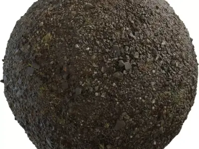 Wet Gravel and Mud with Moss Texture