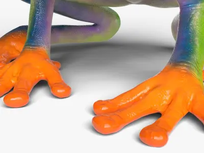  Idle Red Eyed Tree Frog Animated Rigged for Blender 