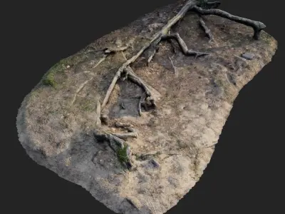 nature forest roots 002 3D model