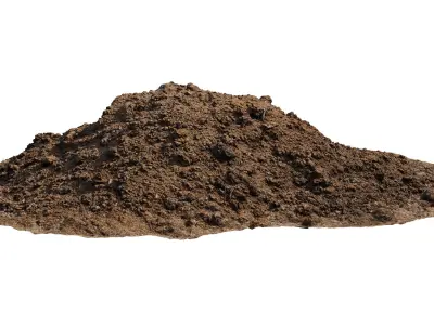 Pile of manure Low-poly 3D model