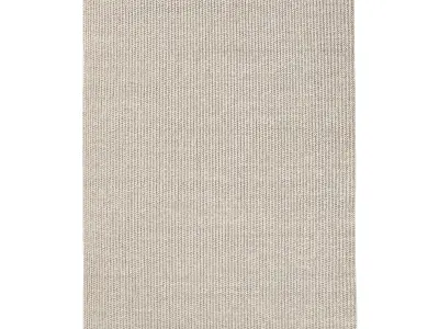 KAASNI WOOL and JUTE RUG 3D model