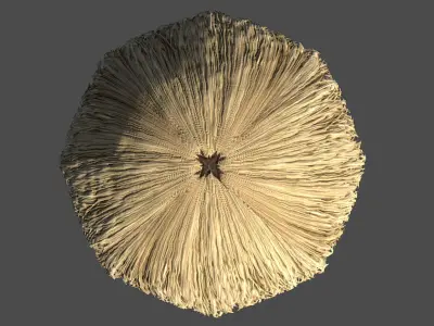 Indonesia Traditional House - Rumah Adat Honai Low-poly 3D model