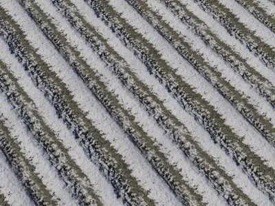 Snowy Plowed Field Rows  Texture
