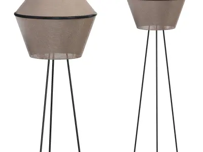 Darling By DitreiItalia 3D model