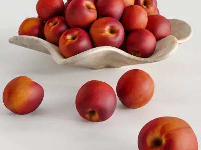 Nectar plate 3D model