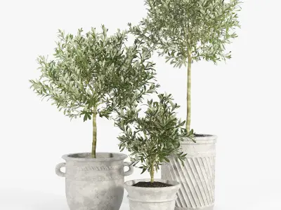 Eclectic Villa Planters 2 3D model