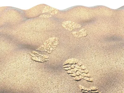 Shoeprints On The Sand 3D model