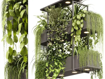 Indoor Plants - 23  Hanging plants 3D model