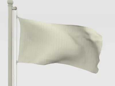 Animated Cameron Flag Low-poly 3D model