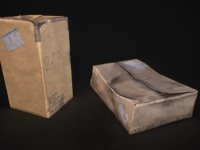 Old Cardboard Pack Low-poly 3D model