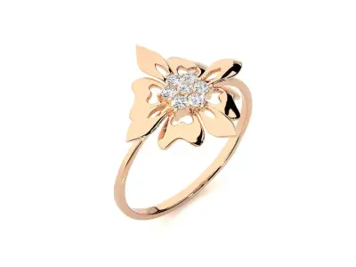 Ring - 67 3D print model