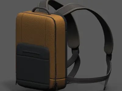 Backpack portfolio healthy camp clean  Low-poly 3D model