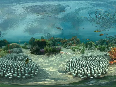  Ocean floor coral reefs Shoal of fish 
