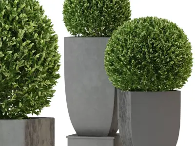 Plants collection 328 3D model