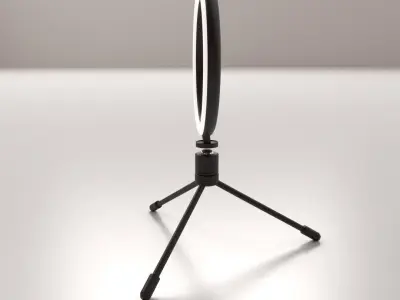 Ring LED Light 3D model