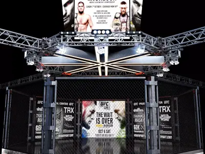 UFC Fighting Stage 3D model