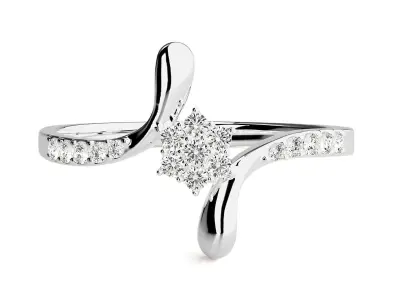 Ring - 73 3D print model