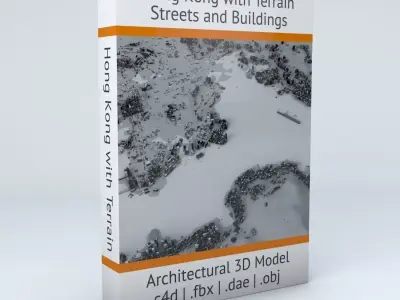 Hong Kong Districts Streets and Buildings with Terrain 3D model