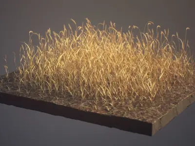 Wheat Field Package Loop Animated 3D model