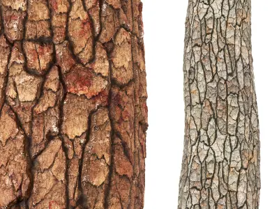 Bark 01 - Seamless Texture