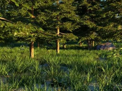 Spring Forest 3D model
