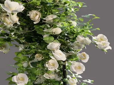 Arch pergola with roses 3D model