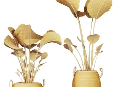 Plants Ravenala Banana Strelitzia Nicolai Bird Of Paradise Set09 3D model