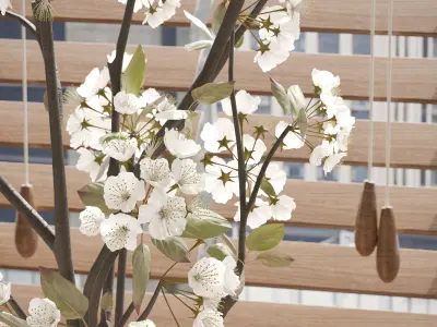 White flowers in vase Japandi decorate 3D model