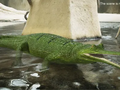  Green Long Snouted Gharial Crocodile 