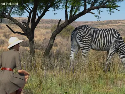  Explorer and Zebra 