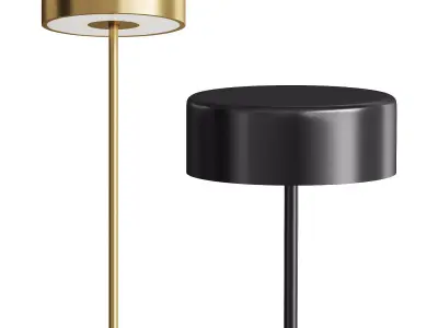  Maytoni Table Lamp 3D model