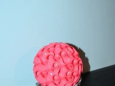 Coral Lamp Free 3D print model