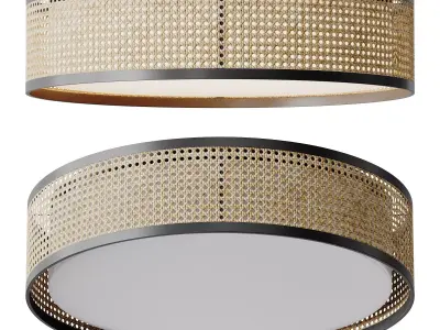 Lyla Ceiling Flush Light 3D model