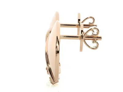 Light wt Women Diamond Earrings  3D print model