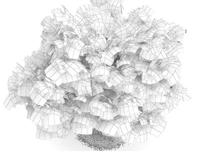 Amur Maple Acer ginnala 3D model