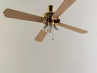 wood Ceiling fan 3D model