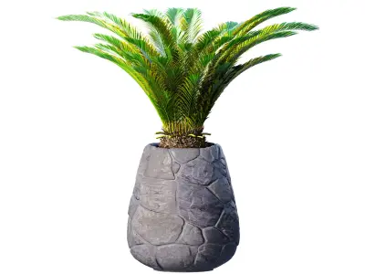 Decorative Tall Palm Cicas in stone floor flower pot urn  3D model