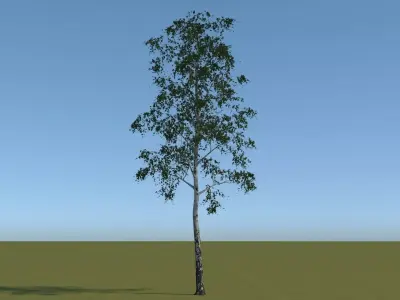 18 Trees Free low-poly 3D model