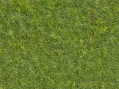 Home 3D grunge texture pack 3D model