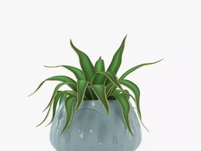 Green plant in a blue pot  3D model