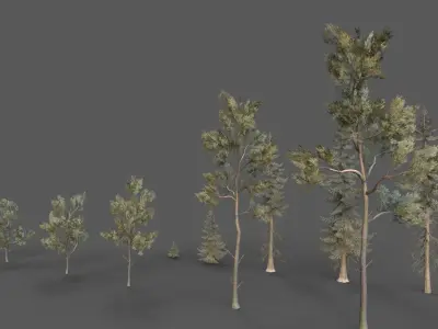 PINE TREE PACK Low-poly 3D model