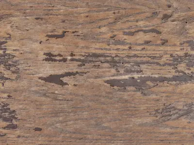 Peeling Painted Wood Texture