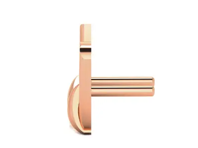Women Earrings 3D print model
