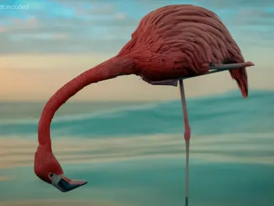  Walking Tropical Bird Flamingo Pink Animated Rigged for Blender 