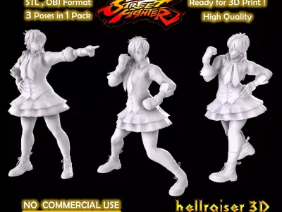Street Fighter - Sakura 3D print model