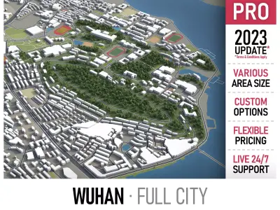 Wuhan  Low-poly 3D model